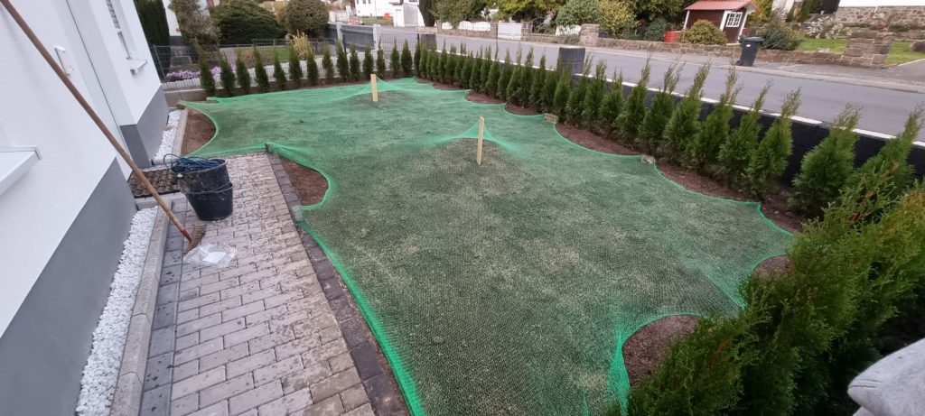 Rasensamen vor Vögeln schützen so geht's! HeimHausGarten